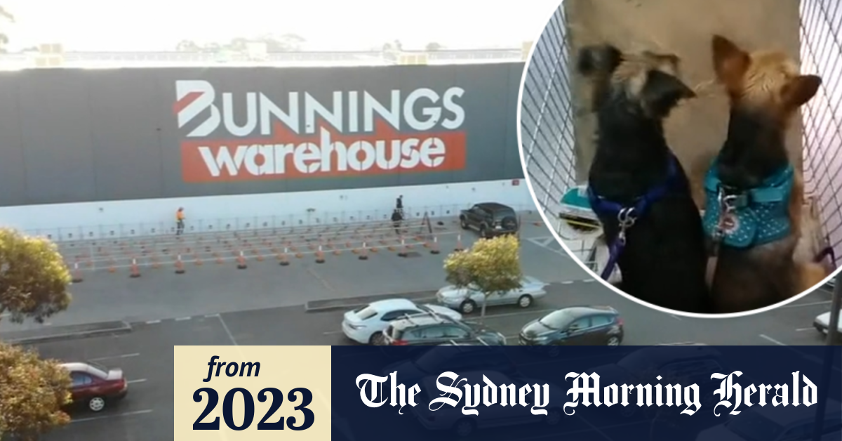 Video Bunnings expands pet range offering